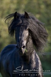 Obrazek